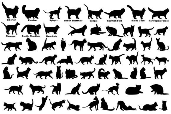 Cat Silhouette Cat Breeds SVG